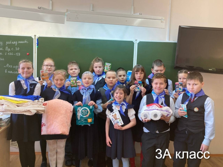 Благотворительная акция "Кот и пёс".