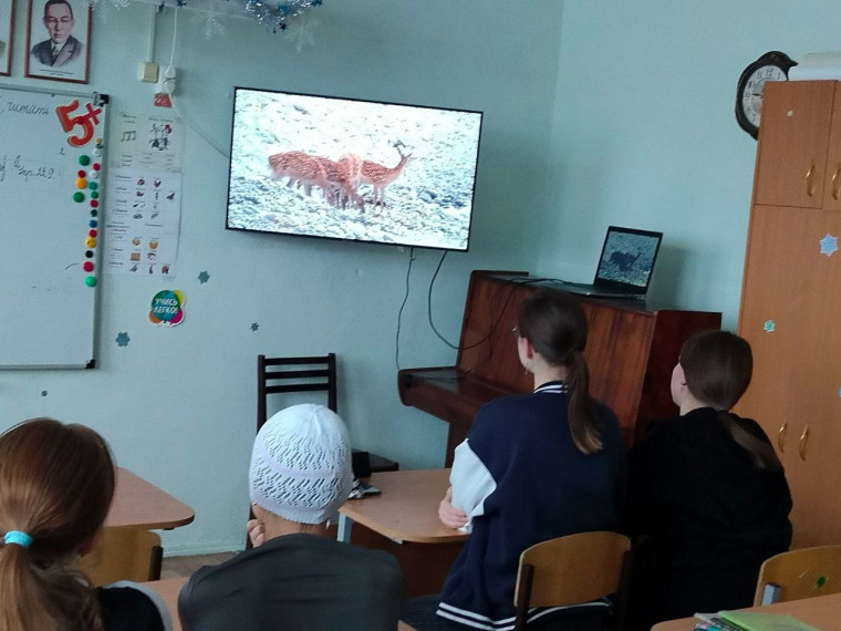 Неделя географии.